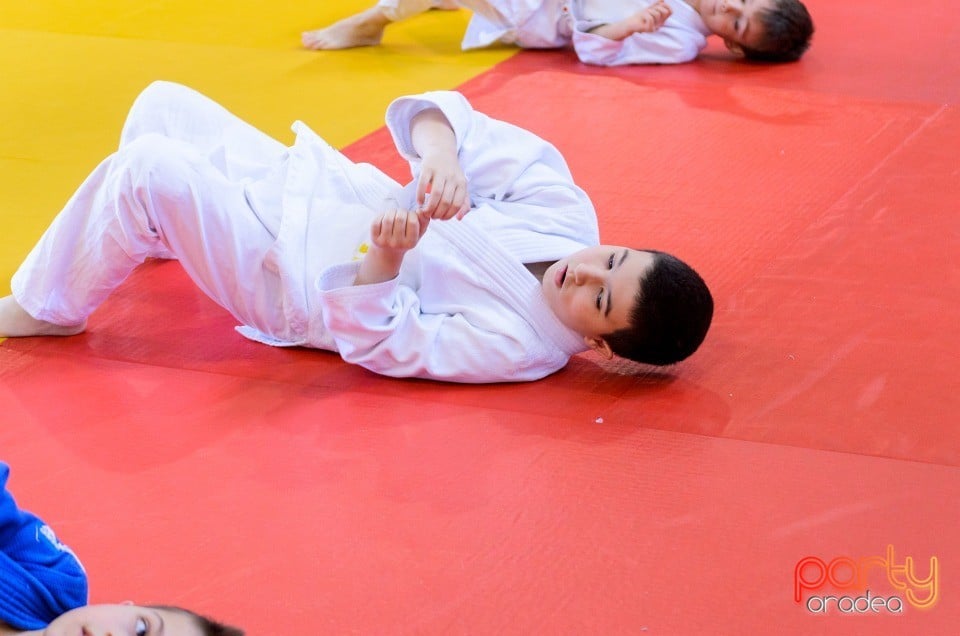 Micii judoka la Examen de Mon, Liceul cu Program Sportiv