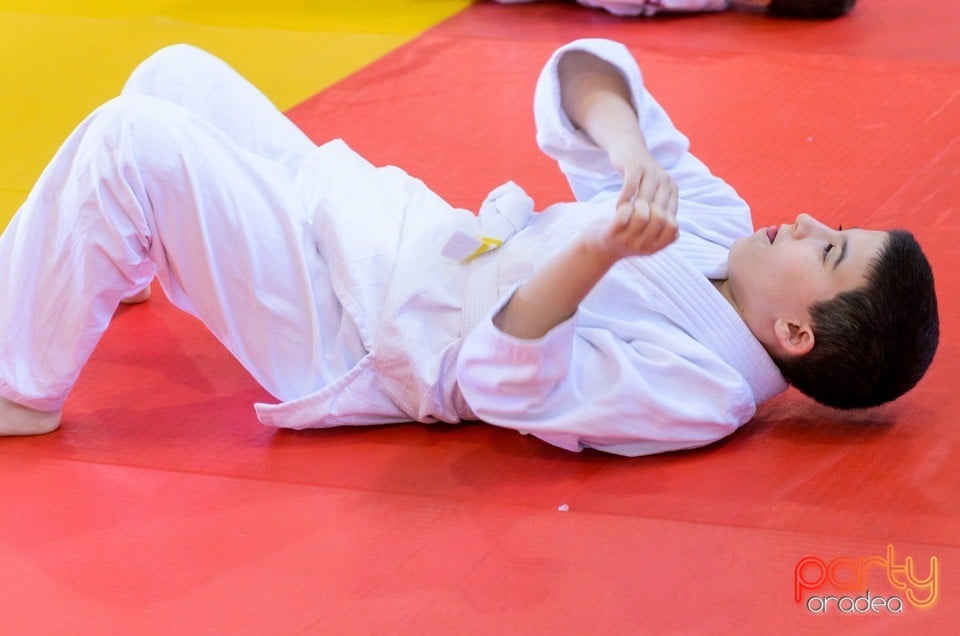 Micii judoka la Examen de Mon, Liceul cu Program Sportiv