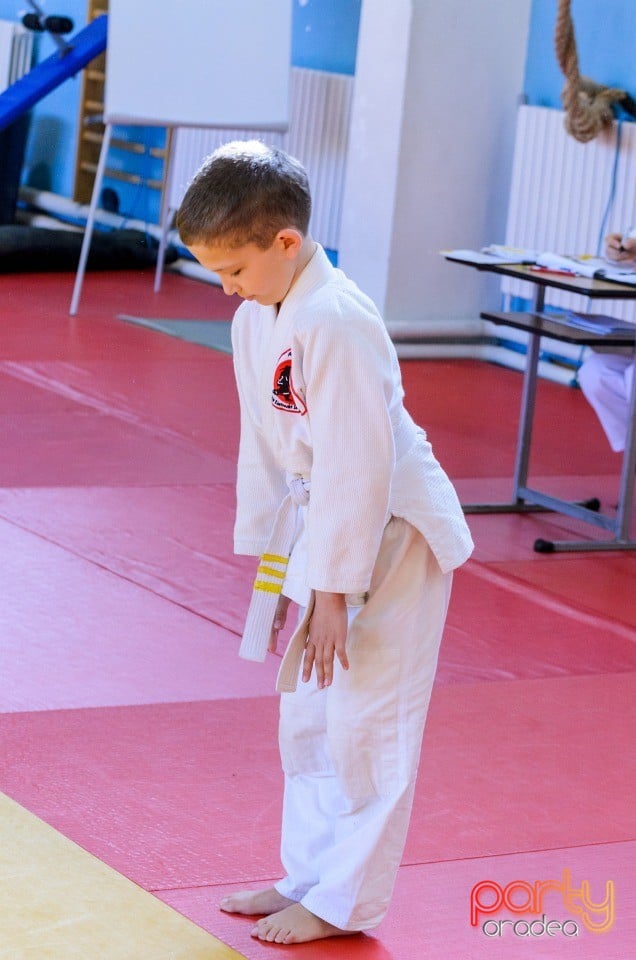 Micii judoka la Examen de Mon, Liceul cu Program Sportiv