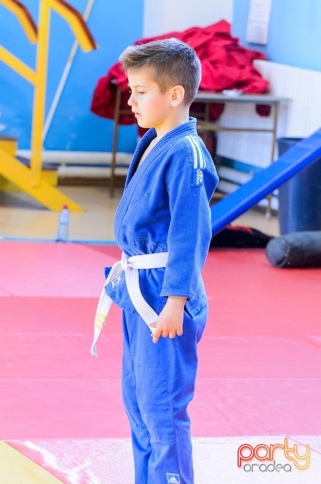 Micii judoka la Examen de Mon, Liceul cu Program Sportiv