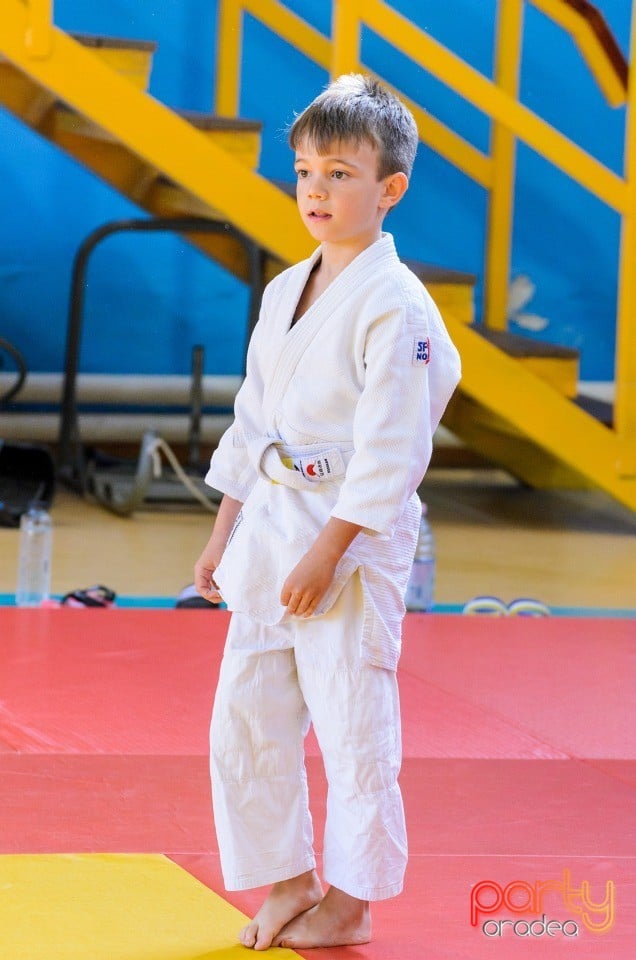 Micii judoka la Examen de Mon, Liceul cu Program Sportiv