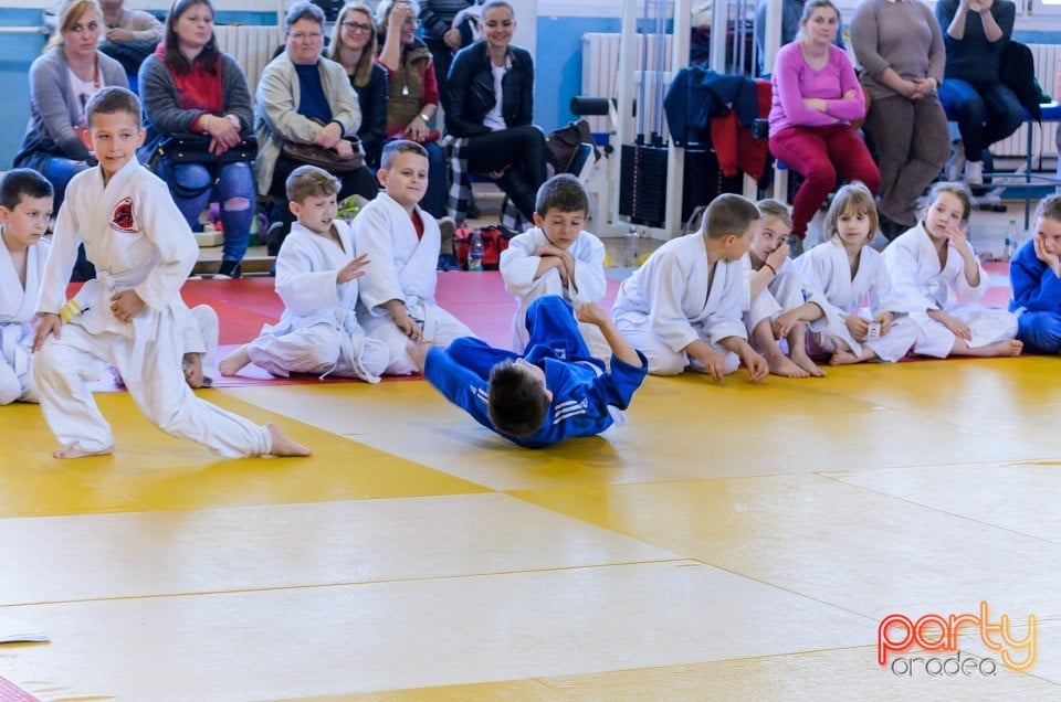 Micii judoka la Examen de Mon, Liceul cu Program Sportiv