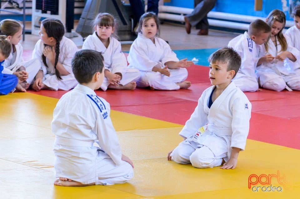 Micii judoka la Examen de Mon, Liceul cu Program Sportiv