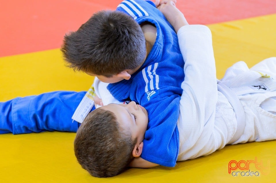 Micii judoka la Examen de Mon, Liceul cu Program Sportiv