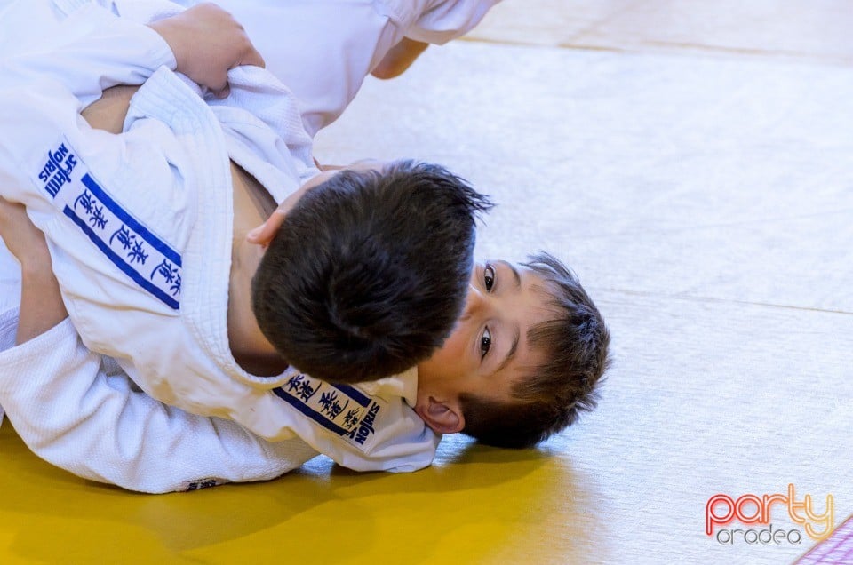 Micii judoka la Examen de Mon, Liceul cu Program Sportiv