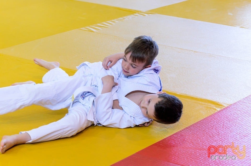 Micii judoka la Examen de Mon, Liceul cu Program Sportiv