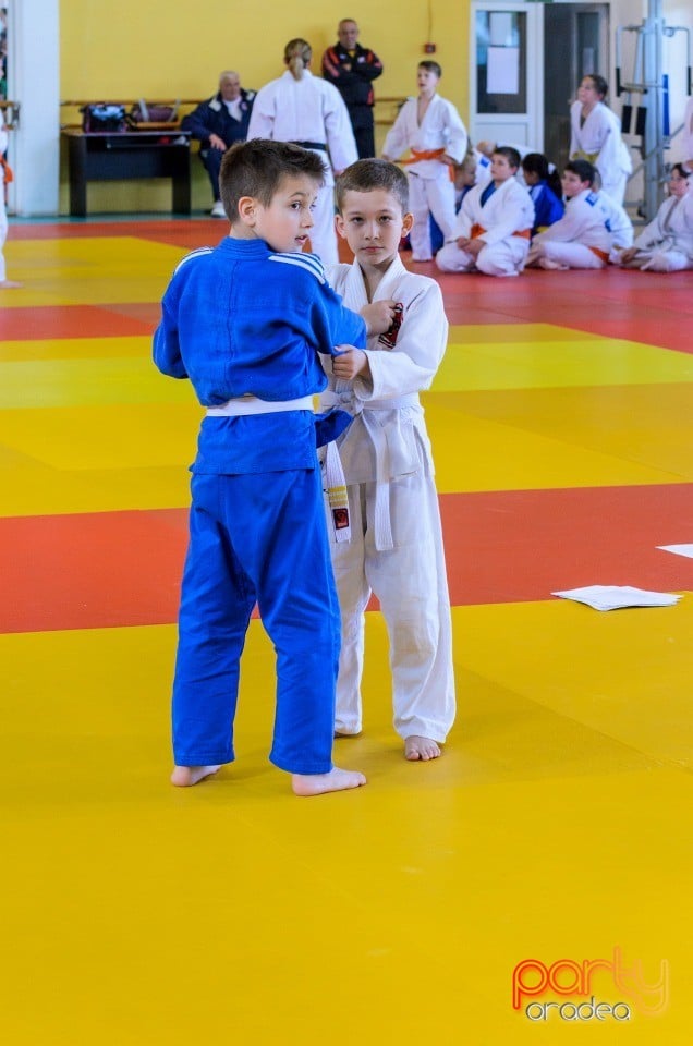 Micii judoka la Examen de Mon, Liceul cu Program Sportiv