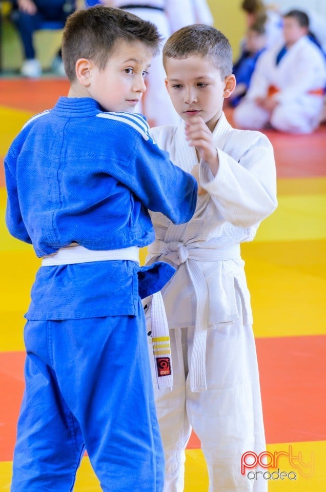 Micii judoka la Examen de Mon, Liceul cu Program Sportiv