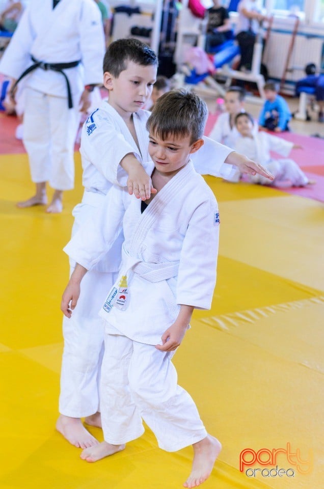 Micii judoka la Examen de Mon, Liceul cu Program Sportiv