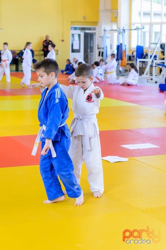 Micii judoka la Examen de Mon, Liceul cu Program Sportiv