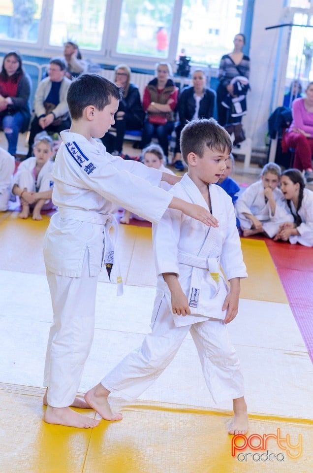 Micii judoka la Examen de Mon, Liceul cu Program Sportiv