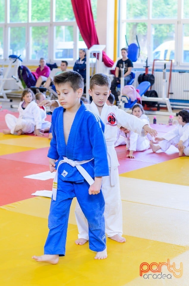 Micii judoka la Examen de Mon, Liceul cu Program Sportiv