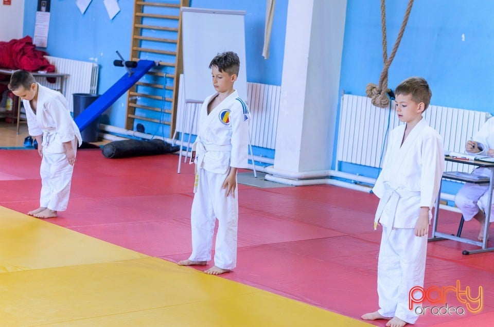 Micii judoka la Examen de Mon, Liceul cu Program Sportiv