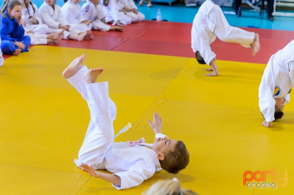 Micii judoka la Examen de Mon, Liceul cu Program Sportiv