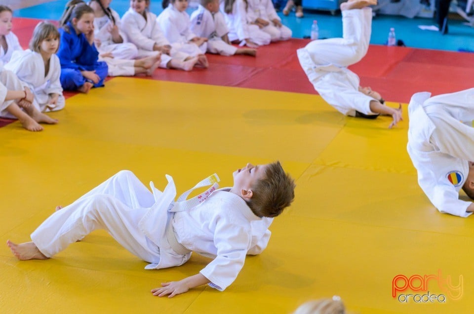 Micii judoka la Examen de Mon, Liceul cu Program Sportiv