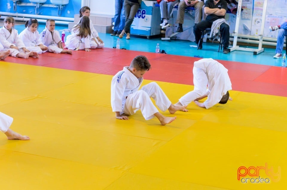 Micii judoka la Examen de Mon, Liceul cu Program Sportiv