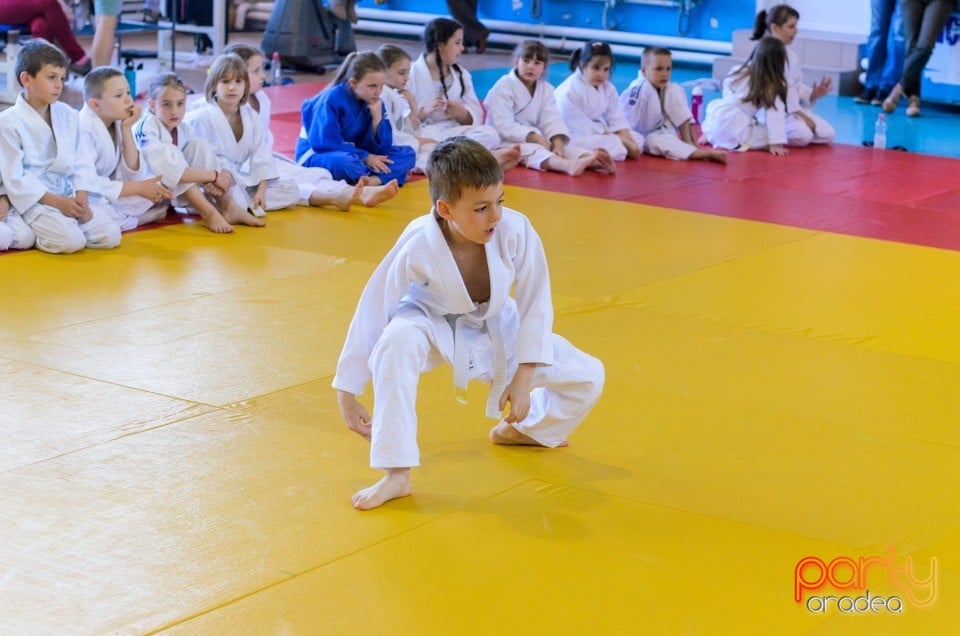 Micii judoka la Examen de Mon, Liceul cu Program Sportiv