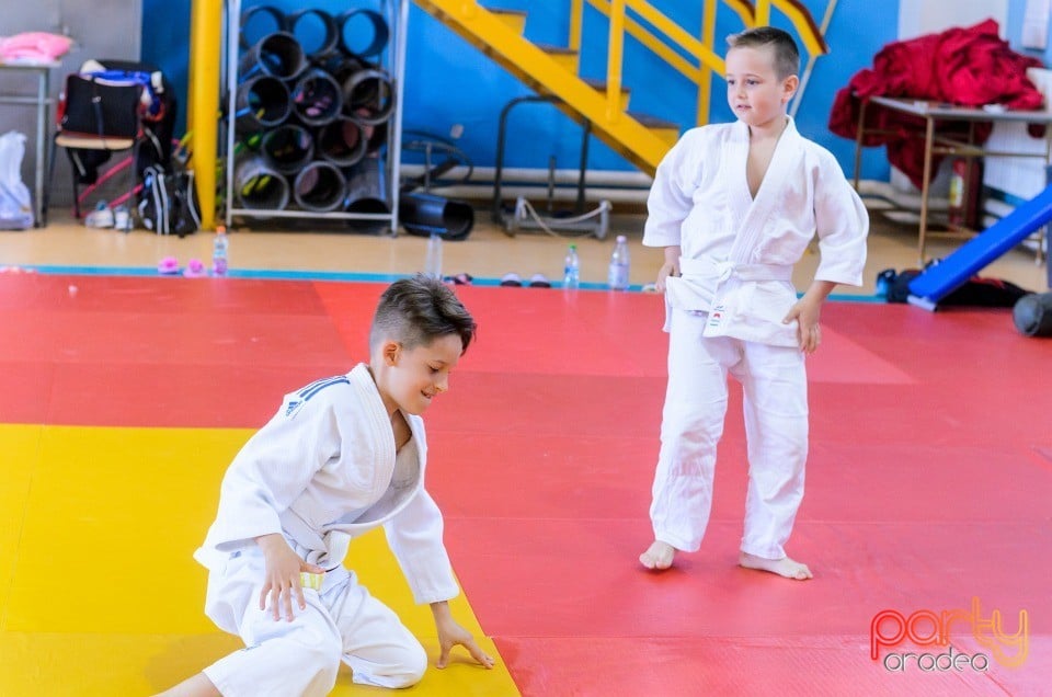 Micii judoka la Examen de Mon, Liceul cu Program Sportiv