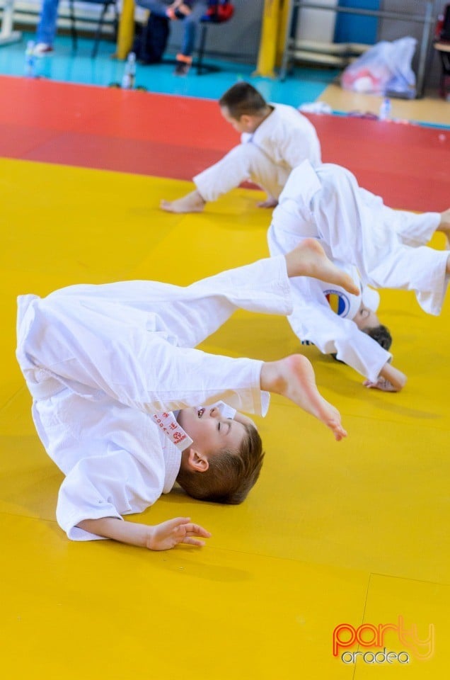 Micii judoka la Examen de Mon, Liceul cu Program Sportiv