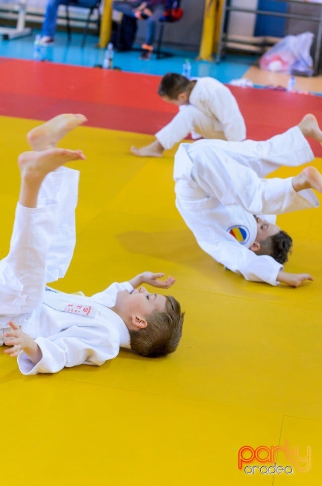 Micii judoka la Examen de Mon, Liceul cu Program Sportiv