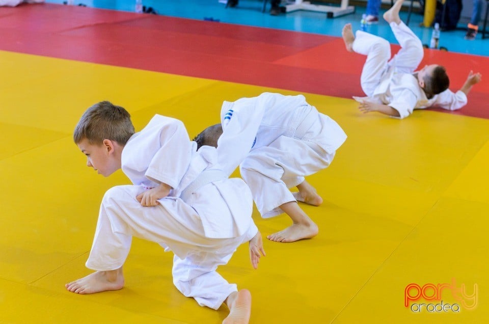 Micii judoka la Examen de Mon, Liceul cu Program Sportiv