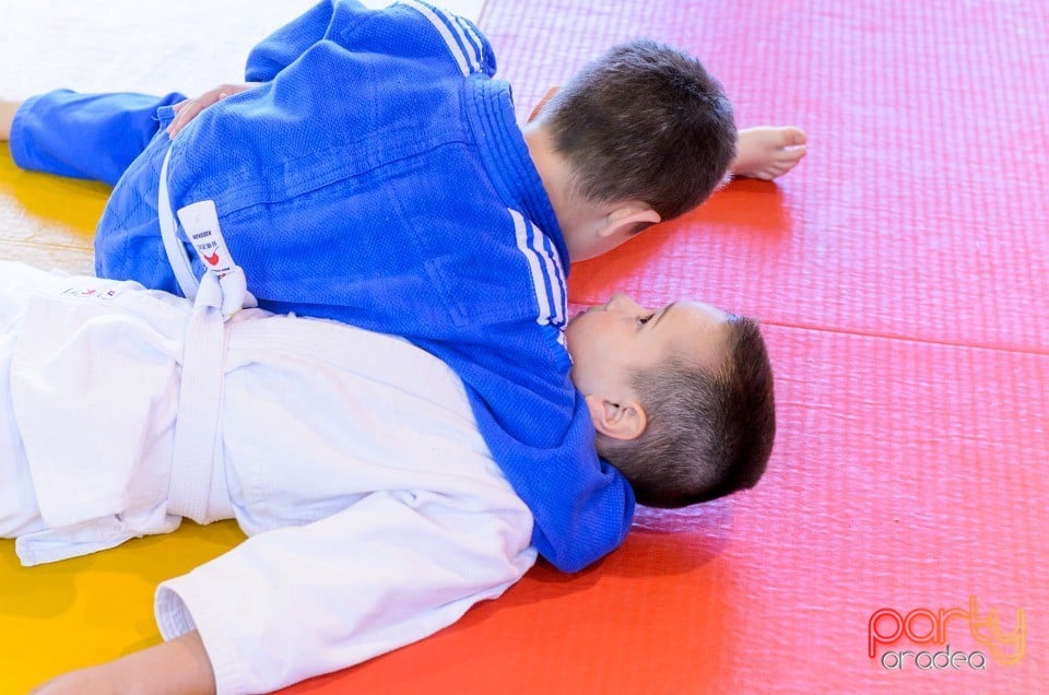 Micii judoka la Examen de Mon, Liceul cu Program Sportiv