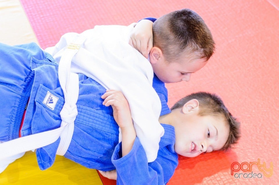 Micii judoka la Examen de Mon, Liceul cu Program Sportiv