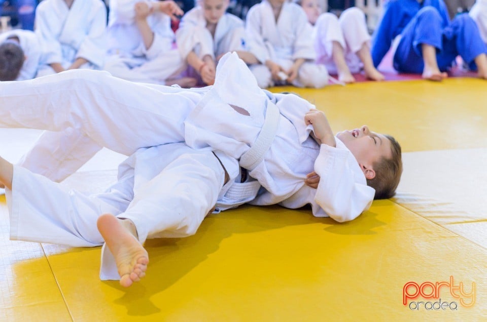 Micii judoka la Examen de Mon, Liceul cu Program Sportiv