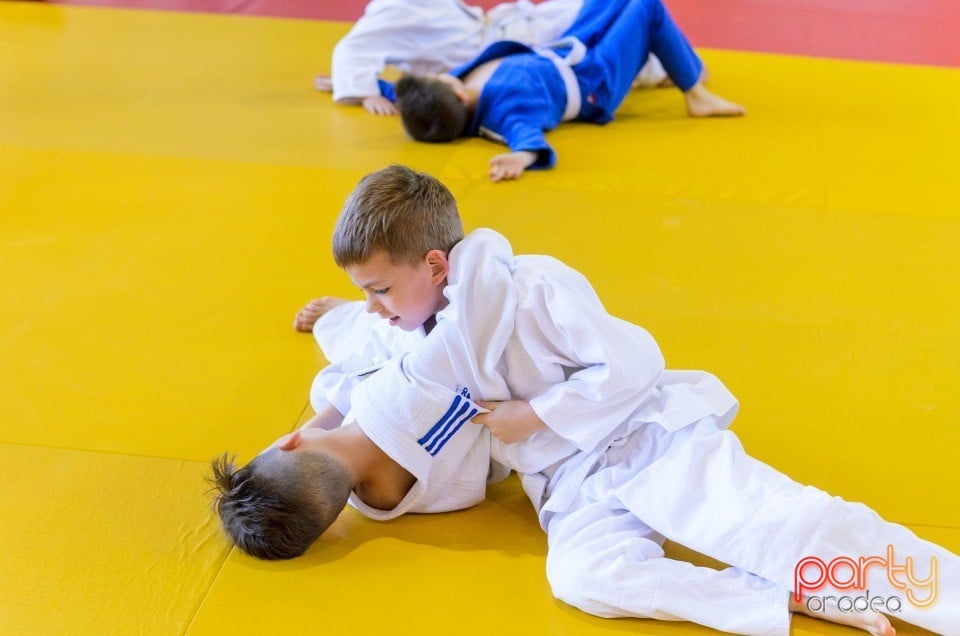 Micii judoka la Examen de Mon, Liceul cu Program Sportiv