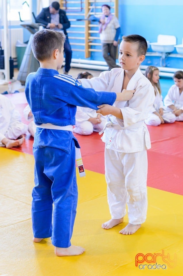 Micii judoka la Examen de Mon, Liceul cu Program Sportiv