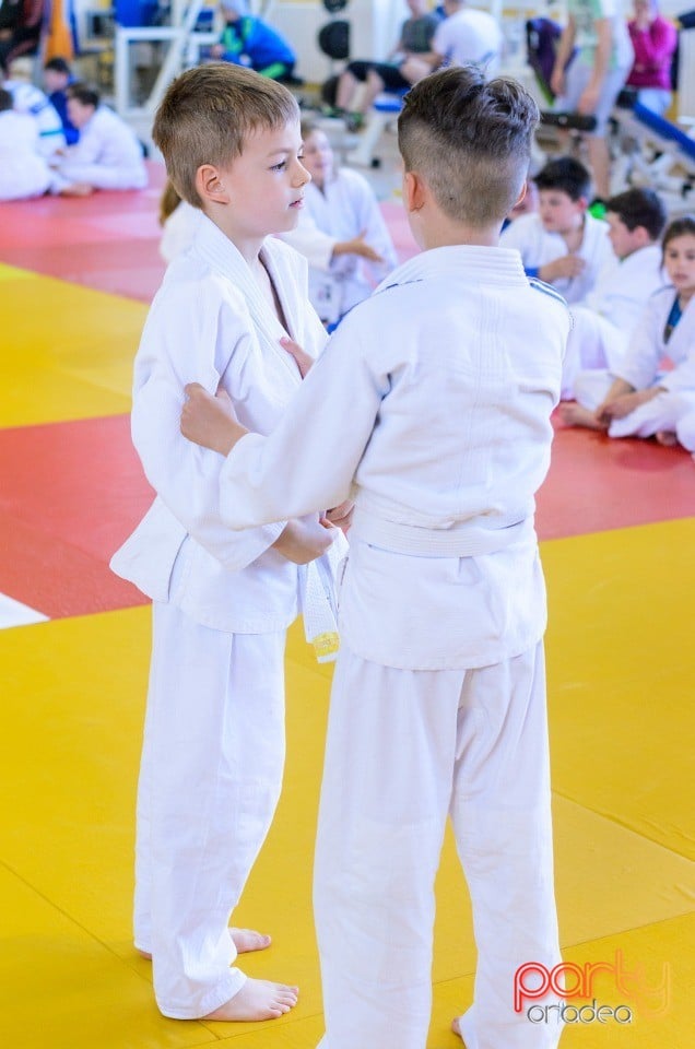 Micii judoka la Examen de Mon, Liceul cu Program Sportiv