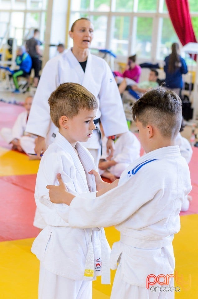 Micii judoka la Examen de Mon, Liceul cu Program Sportiv