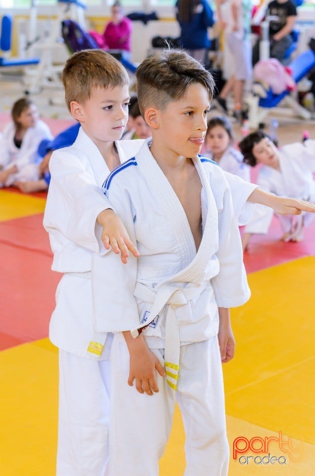 Micii judoka la Examen de Mon, Liceul cu Program Sportiv