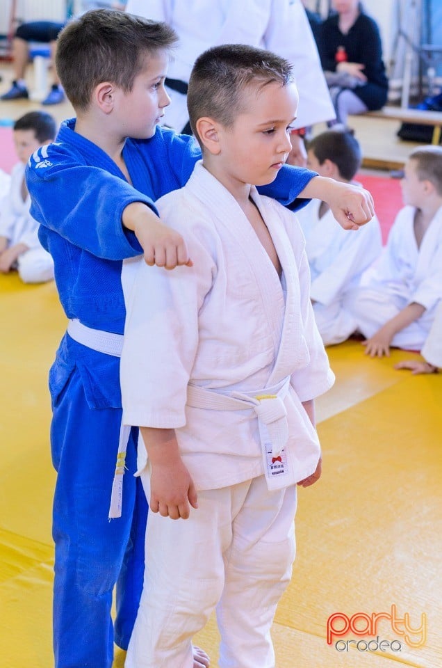 Micii judoka la Examen de Mon, Liceul cu Program Sportiv