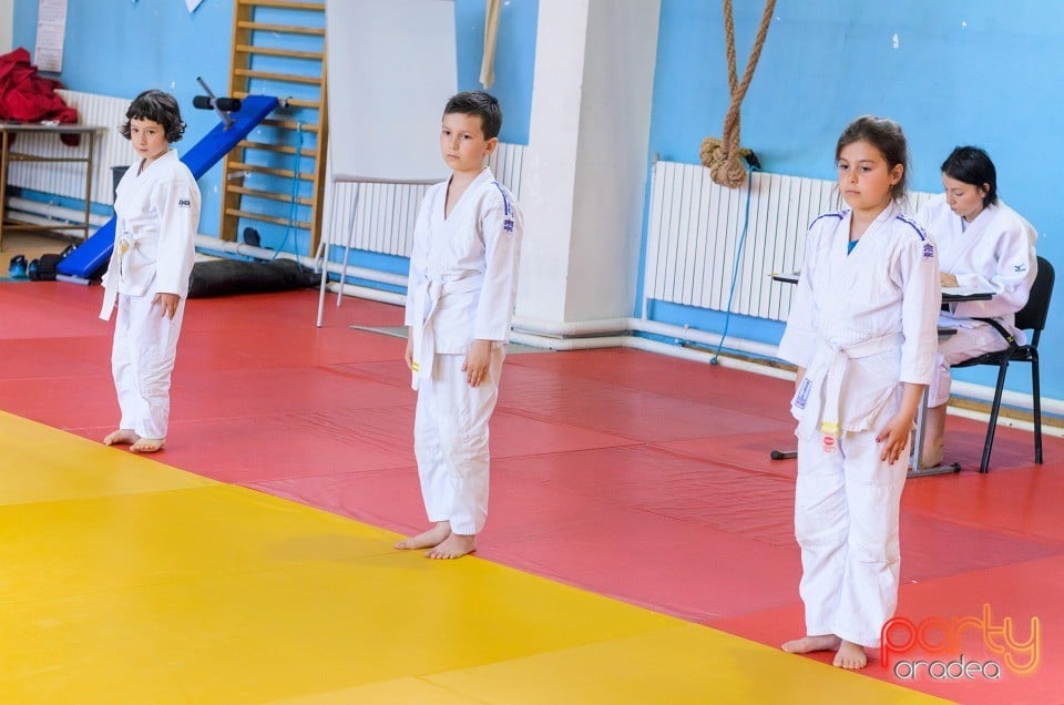 Micii judoka la Examen de Mon, Liceul cu Program Sportiv