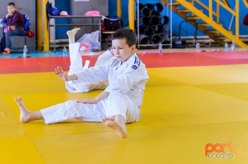 Micii judoka la Examen de Mon, Liceul cu Program Sportiv