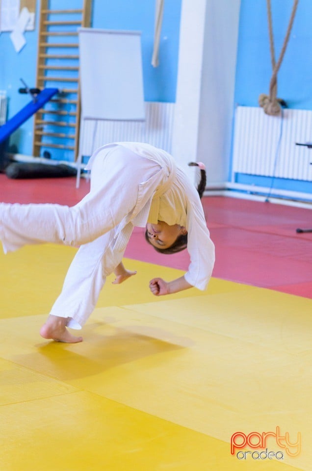 Micii judoka la Examen de Mon, Liceul cu Program Sportiv