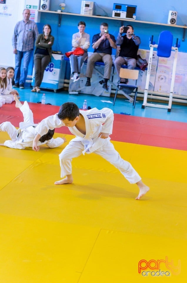 Micii judoka la Examen de Mon, Liceul cu Program Sportiv