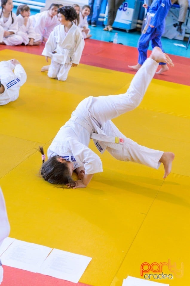 Micii judoka la Examen de Mon, Liceul cu Program Sportiv