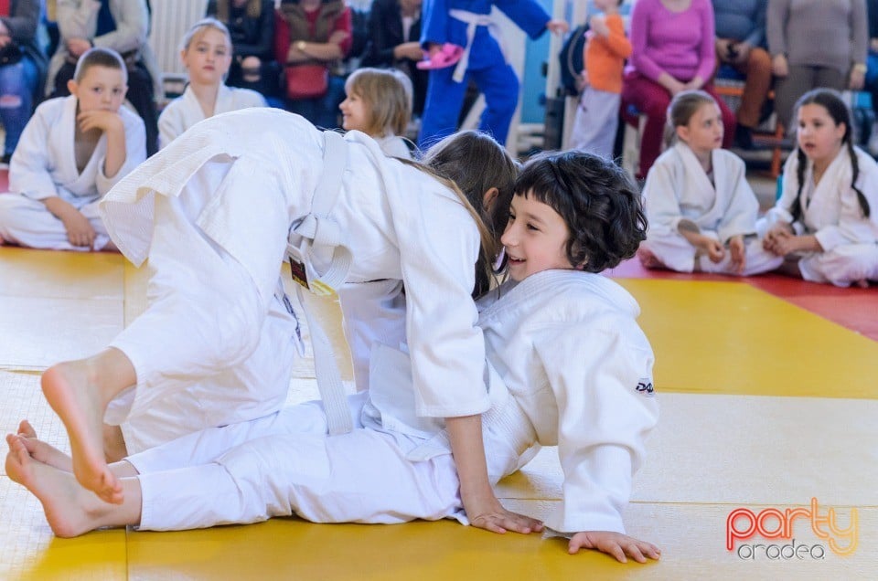 Micii judoka la Examen de Mon, Liceul cu Program Sportiv