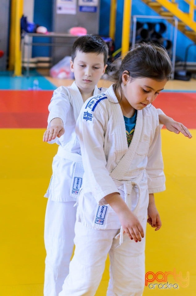 Micii judoka la Examen de Mon, Liceul cu Program Sportiv