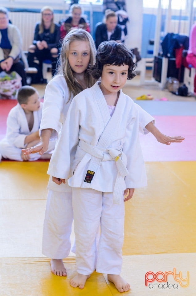 Micii judoka la Examen de Mon, Liceul cu Program Sportiv