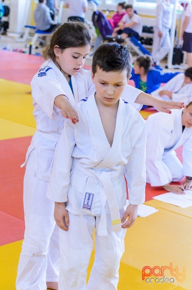 Micii judoka la Examen de Mon, Liceul cu Program Sportiv