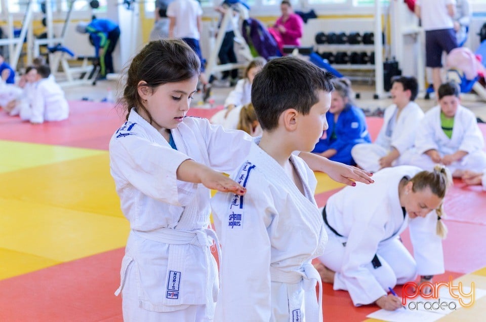 Micii judoka la Examen de Mon, Liceul cu Program Sportiv