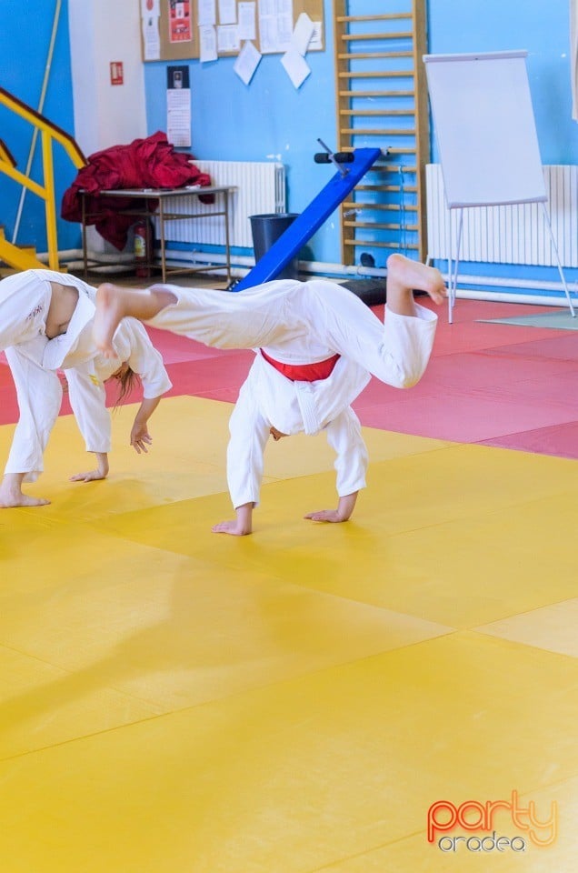 Micii judoka la Examen de Mon, Liceul cu Program Sportiv