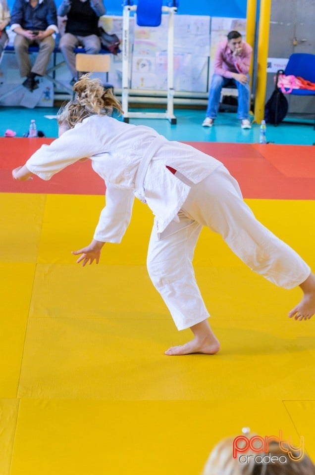 Micii judoka la Examen de Mon, Liceul cu Program Sportiv