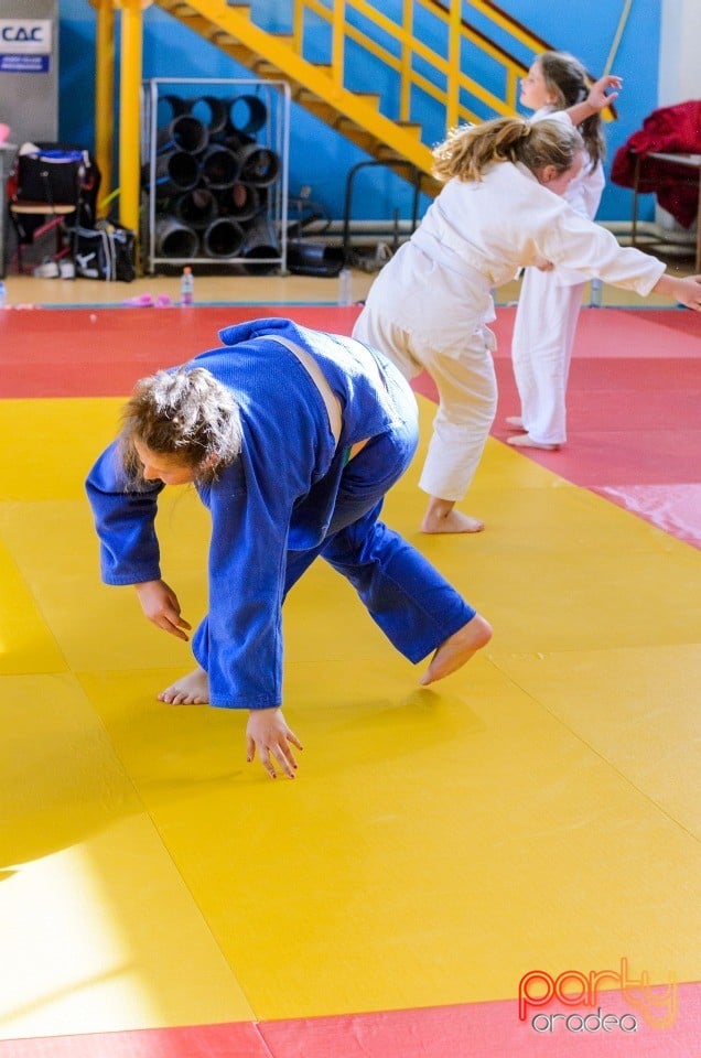 Micii judoka la Examen de Mon, Liceul cu Program Sportiv