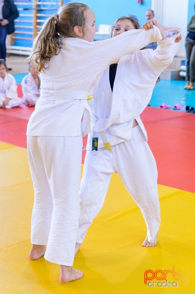 Micii judoka la Examen de Mon, Liceul cu Program Sportiv