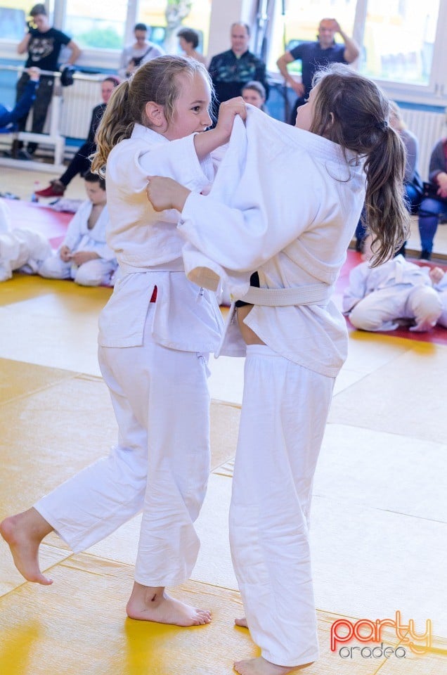 Micii judoka la Examen de Mon, Liceul cu Program Sportiv