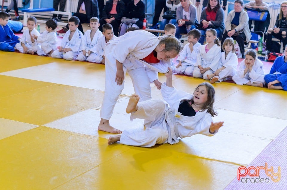 Micii judoka la Examen de Mon, Liceul cu Program Sportiv